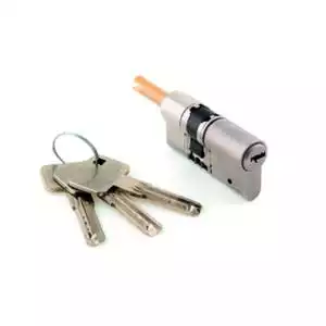 Cylindre XL pour DOOR KEEPER somfy