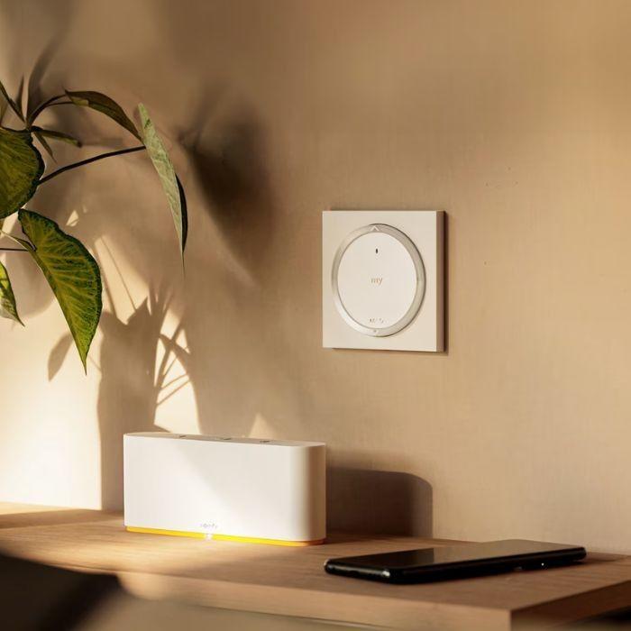 Acheter Capteur de température connecté Somfy - Amy 1 RS100 io cadre - Ma Menuiserie Française